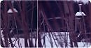 through winter