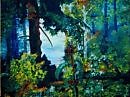 Летний лес  Літній ліс  Summer forest