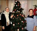 Новогодняя Ель, Новогодние краски