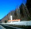 Стелла