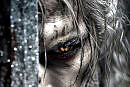 Sword of Destiny (Witcher inspired) � Mars Musdic Epic